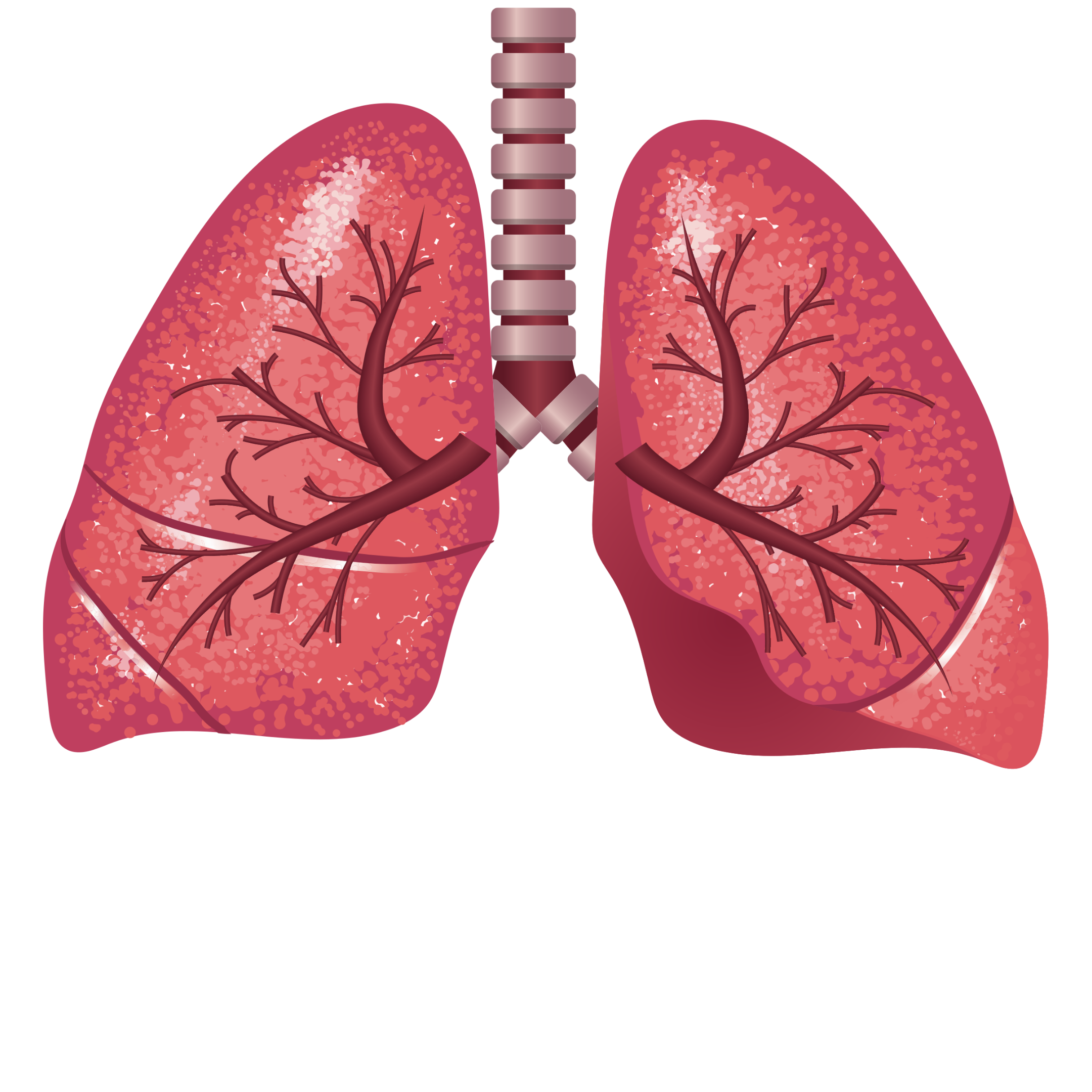 Renta de Concentradores de Oxígeno
